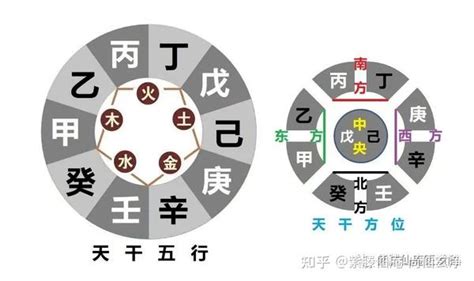 乙木 庚金|八字十天干详解——乙木